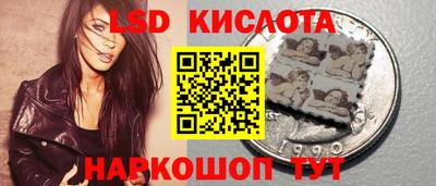 молекула духа Донецк