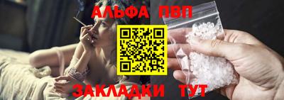 спиды Донской