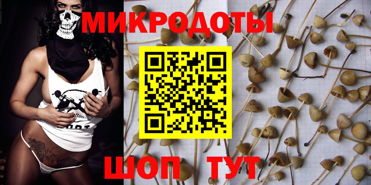 Щёлково  Псилоцибиновые грибы GOLDEN TEACHER  Вход с VPN 